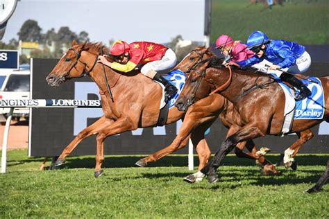 Bondi Stakes Field – 2021 .